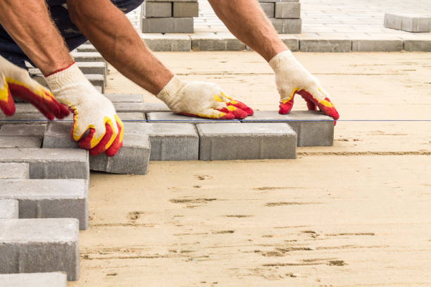 Best Affordable Driveway Pavers  in Madelia, MN