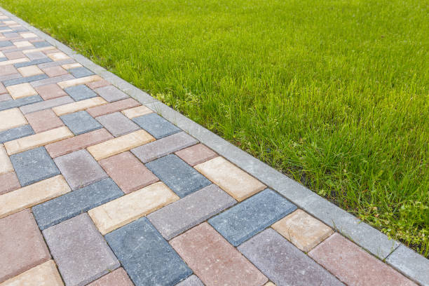 Best Local Driveway Pavers  in Madelia, MN